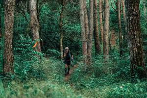 BIB: 
                            <button type="button" onclick="openModal(25237944)" class="btn btn-primary btn-sm float-right btn-popup" data-toggle="modal" data-target=".modal-high-quality">
                        <i class="fas fa-shopping-cart"></i> Add to Cart
                    </button>
                                            <button type="button" onclick="isThisMe(25237944, true)" class="btn btn-success btn-sm float-right btn-popup btn-isme hidden" data-toggle="tooltip" data-placement="bottom" title="นี่คือรูปของคุณใช่ไหม คลิกที่นี่เพื่อเอาเข้าอัลบั้ม">
                        <i class="fas fa-plus"></i> Add to album
                    </button>
                    <button type="button" onclick="isThisMe(25237944, false)" class="btn btn-warning btn-sm float-right btn-popup btn-isnotme hidden">
                        <i class="fas fa-ban"></i> Remove from album
                    </button>